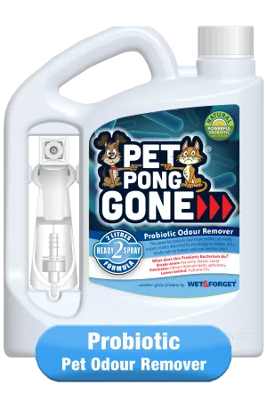 Pet Pong Gone: Odour Remover
