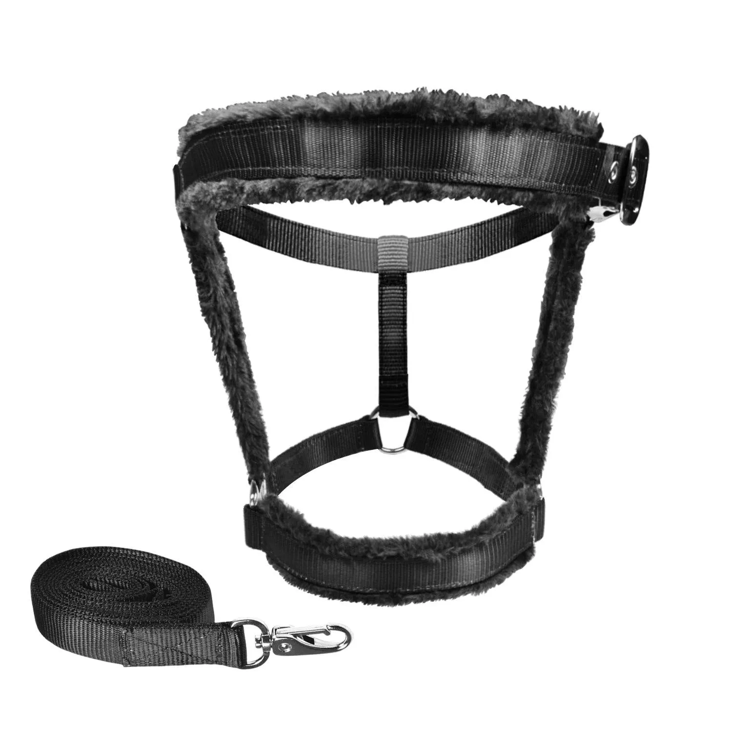 Royalian Equestrian Horse Nylon Fleece Padded Halter With Nylon Lead