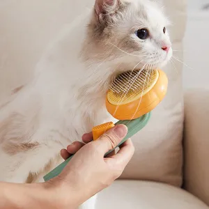 Self Cleaning Pet Brush